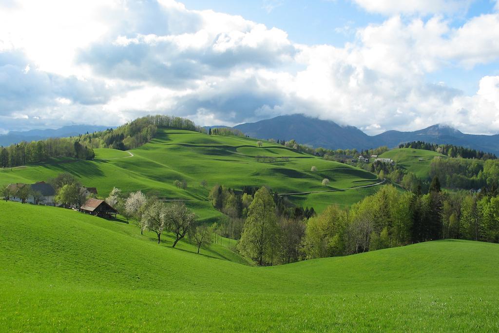 Willa Tourist Farm Ljubica Poljane nad Škofjo Loko Zewnętrze zdjęcie