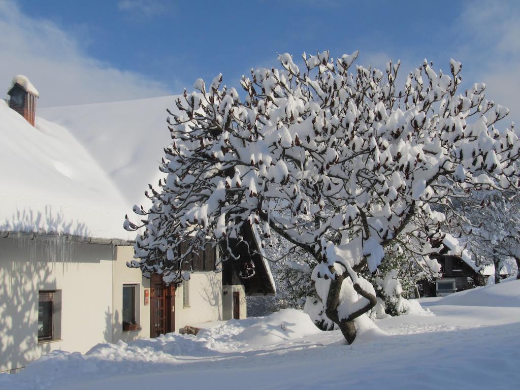 Willa Tourist Farm Ljubica Poljane nad Škofjo Loko Zewnętrze zdjęcie