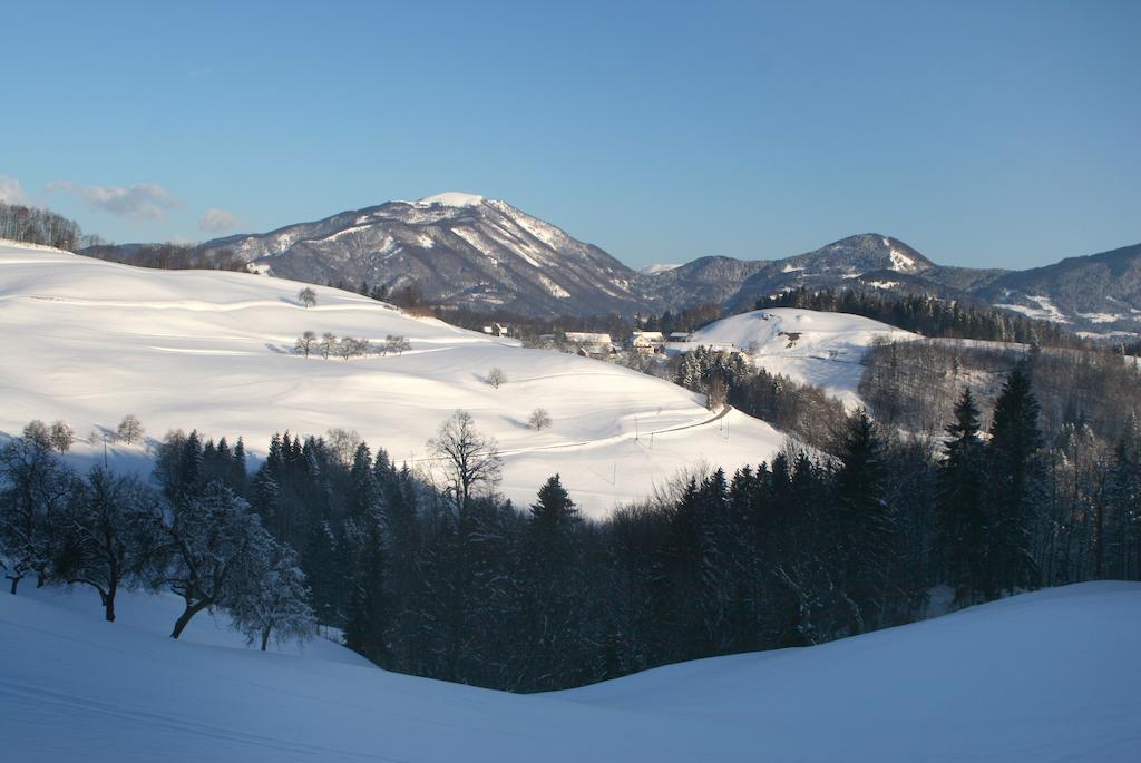 Willa Tourist Farm Ljubica Poljane nad Škofjo Loko Zewnętrze zdjęcie