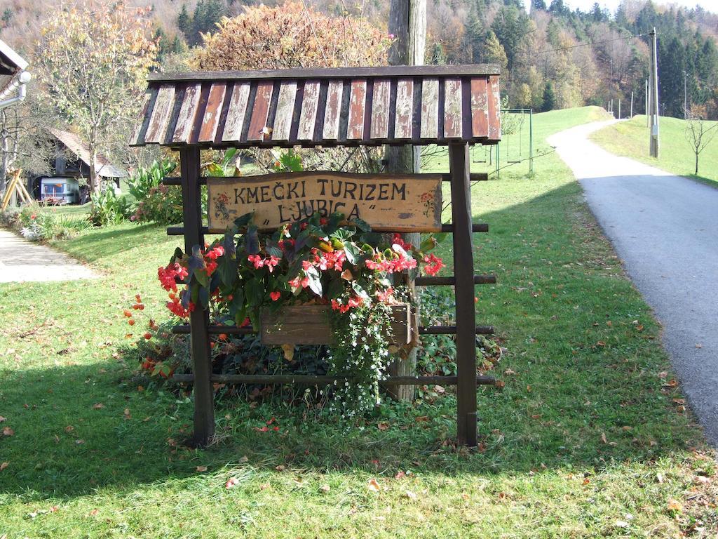 Willa Tourist Farm Ljubica Poljane nad Škofjo Loko Zewnętrze zdjęcie